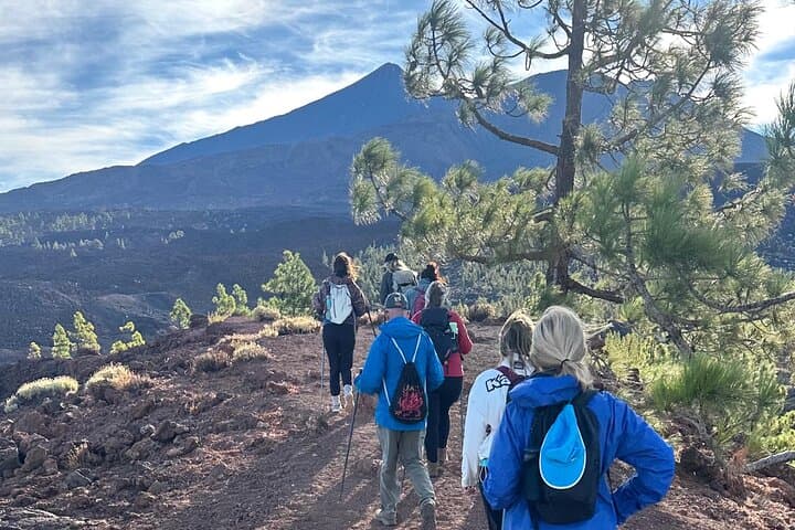 Volcanic Hike and Lava Cave in Teide National Park. Free Pickup.