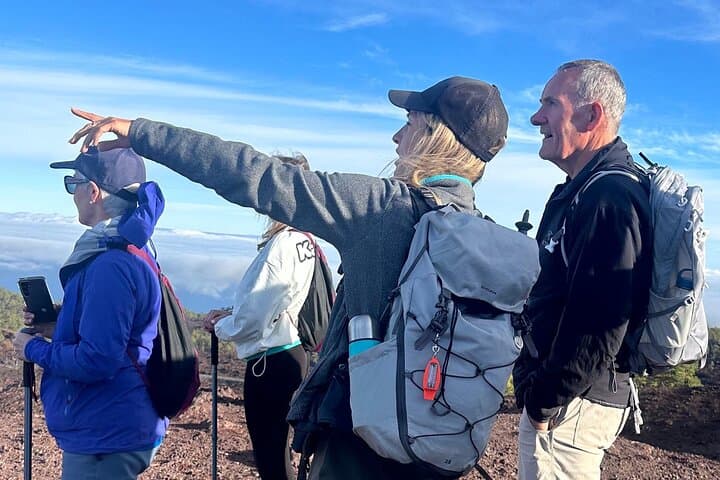 Volcanic Hike and Lava Cave in Teide National Park. Free Pickup.