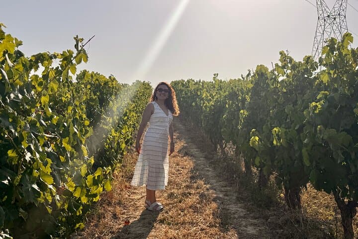 Exclusive Wine Tour in La Rioja Marquis de Riscal Ysios