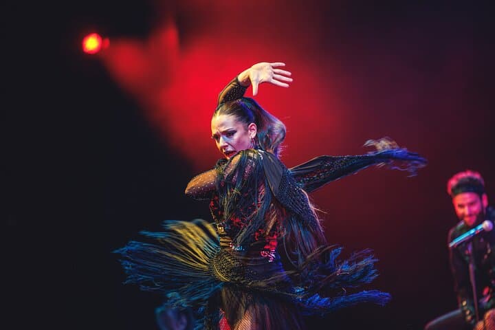 WAH Show Madrid : The most spectacular show in the world