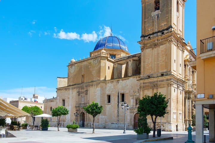 Elche Private Half-Day Tour from Alicante