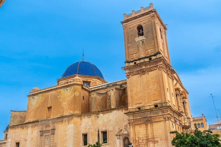 Elche Private Half-Day Tour from Alicante