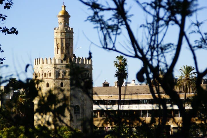 Highlights of Seville's Historic Heart: Private Walking Tour