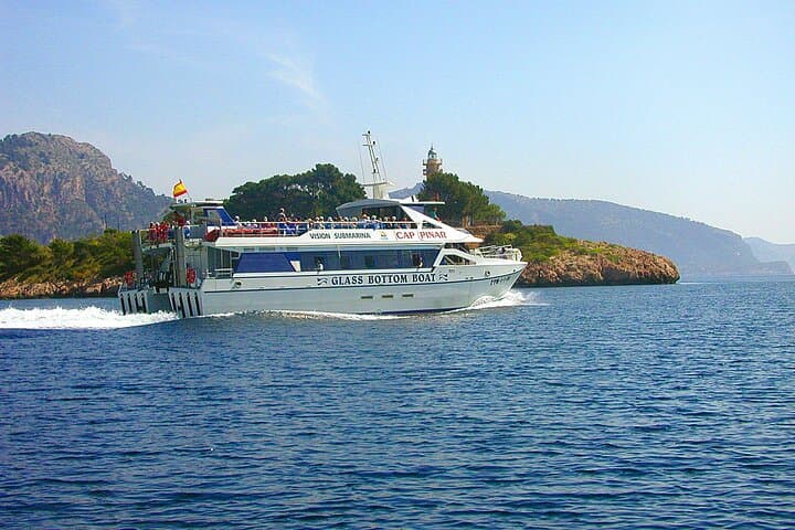 Boats the Seagull