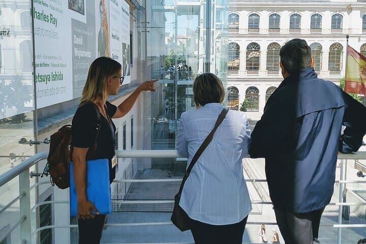 Reina Sofia Museum Guided Tour in Madrid