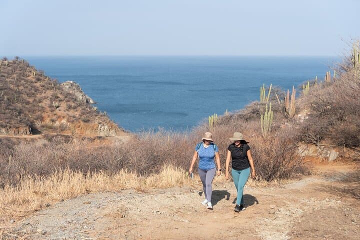 North Lanzarote Private Tour: Caves, Viewpoints & Villages