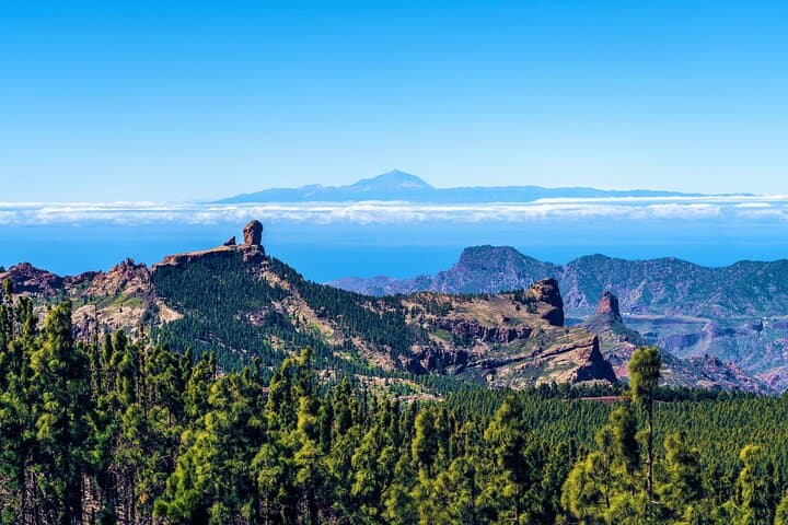 Best of Tenerife: Panoramic Shore Excursion with Port Pickup