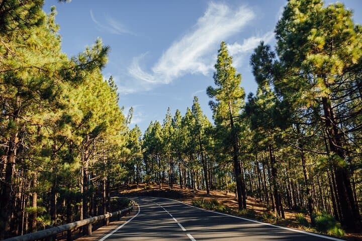 Best of Tenerife: Panoramic Shore Excursion with Port Pickup