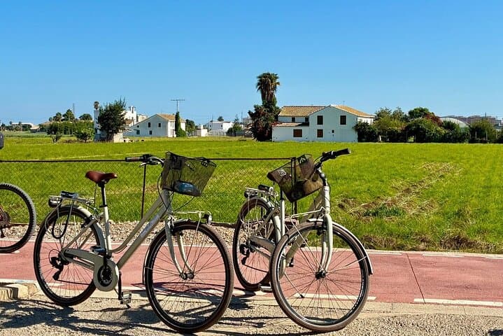 Half Day Valencia Foodie Cycling Tour