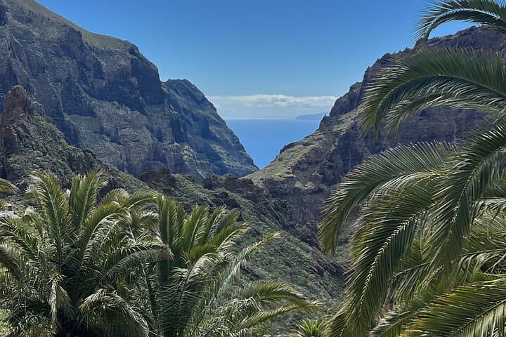 VIP Day Tour with Private Guide Around Tenerife by Luxury Car
