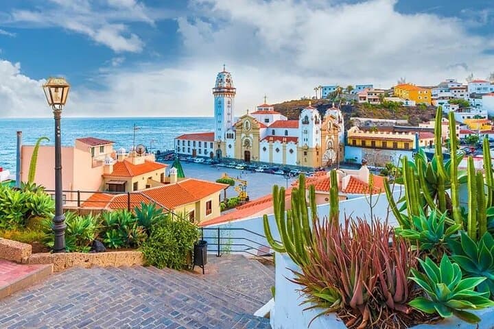 VIP Day Tour with Private Guide Around Tenerife by Luxury Car