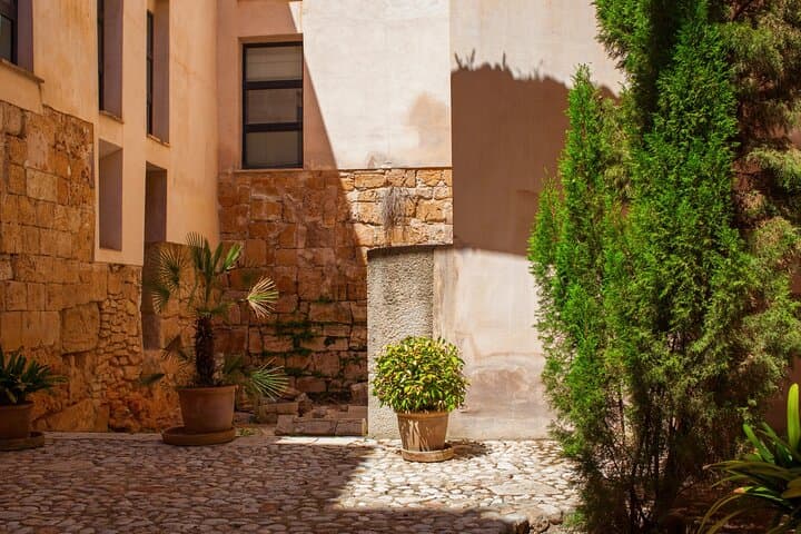 TOP Palma de Mallorca : Private guided tour with your mobile