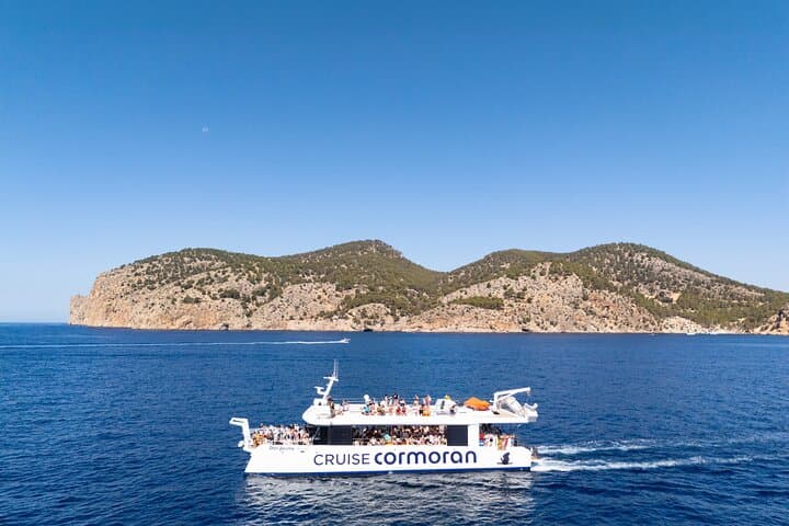 Dolphin Watching in Mallorca (Paguera)