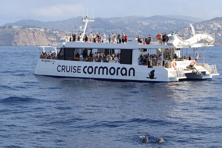 Dolphin Watching in Mallorca (Paguera)