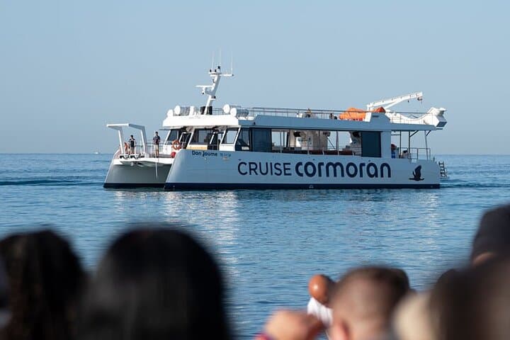 Dolphin Watching in Mallorca (Paguera)