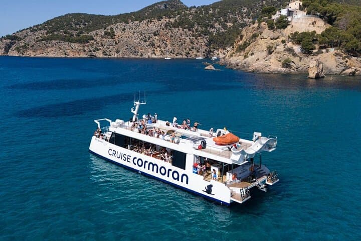 Dolphin Watching in Mallorca (Paguera)