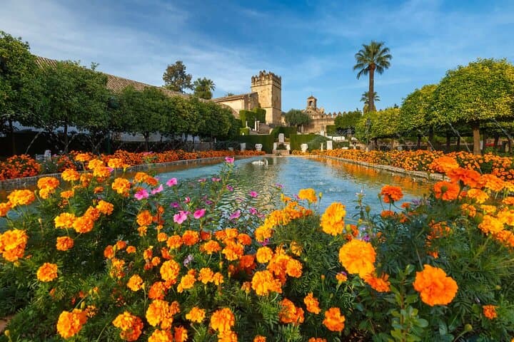 Hello Córdoba: Private 2-Hour Intro City Walk with Local Guide