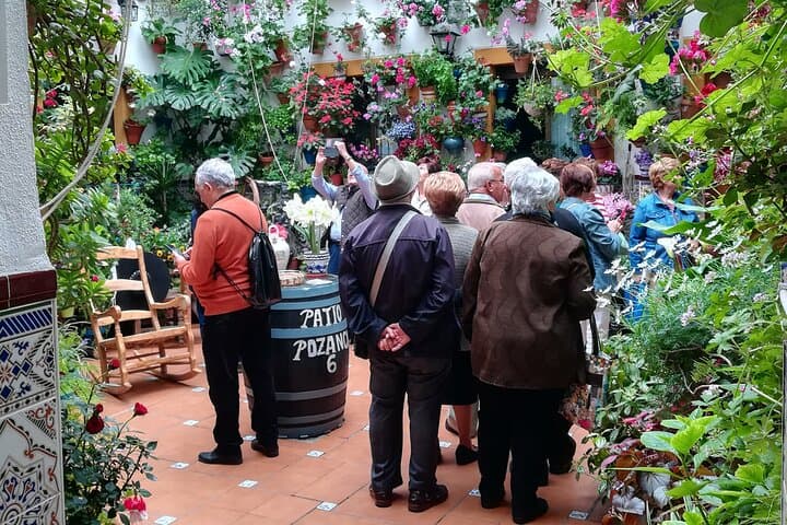 Courtyards of Cordoba Guided Tour
