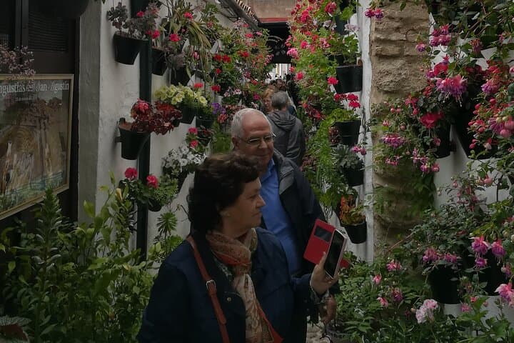 Courtyards of Cordoba Guided Tour