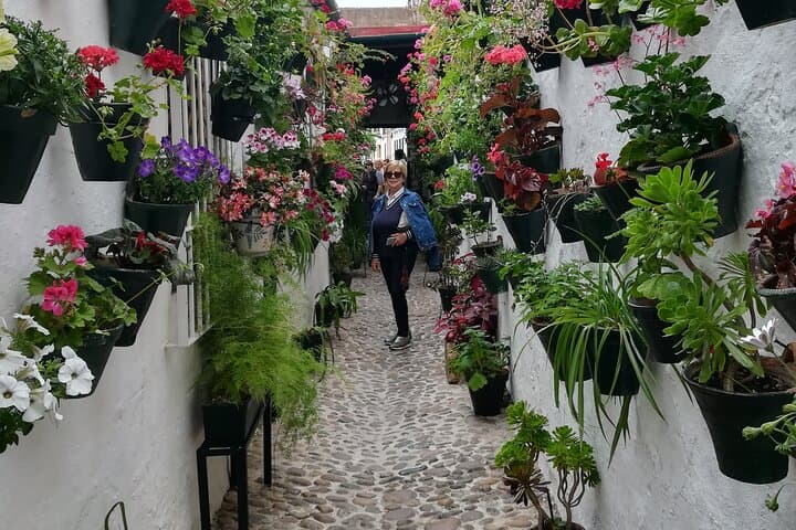 Courtyards of Cordoba Guided Tour