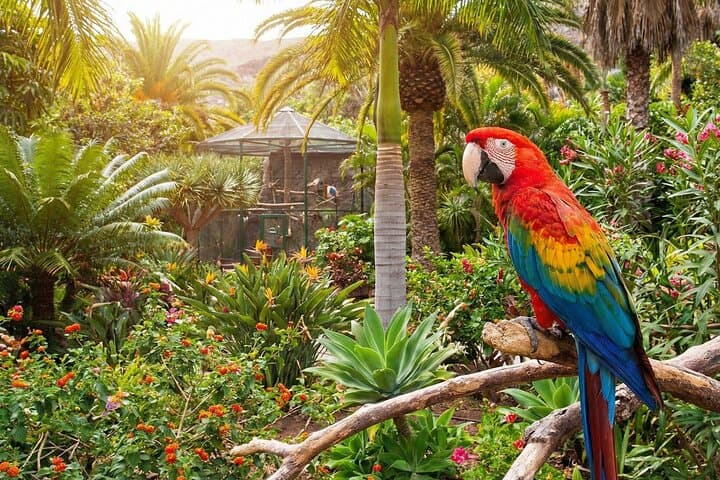 Discover Gran Canaria: A Self-Guided Island Tour