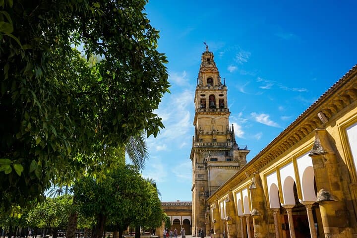Gourmet Tapas and Wine Tour in Córdoba