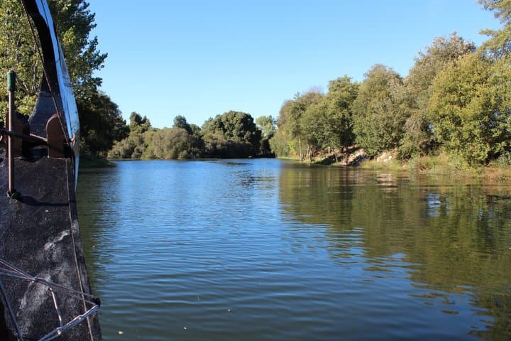 River Miño boat trip