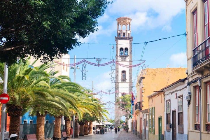 TOP Tenerife : Private guided tour with your mobile