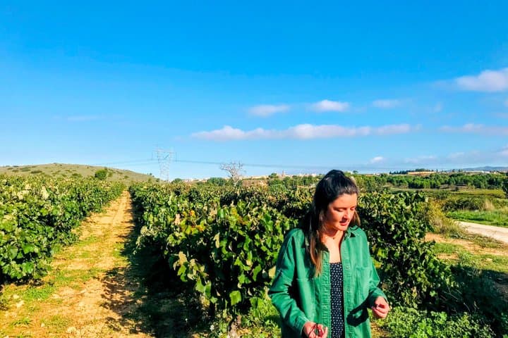 Full-Day Private Requena Medieval Village and Winery Tour