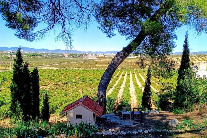 Full-Day Private Requena Medieval Village and Winery Tour