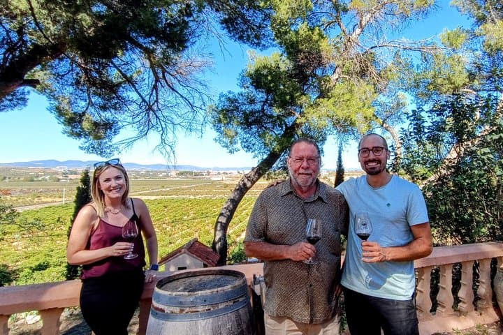 Full-Day Private Requena Medieval Village and Winery Tour