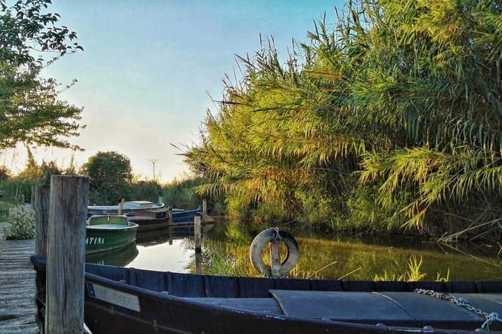 Bike & Boat Tour in Albufera, Valencia: Nature and Culture