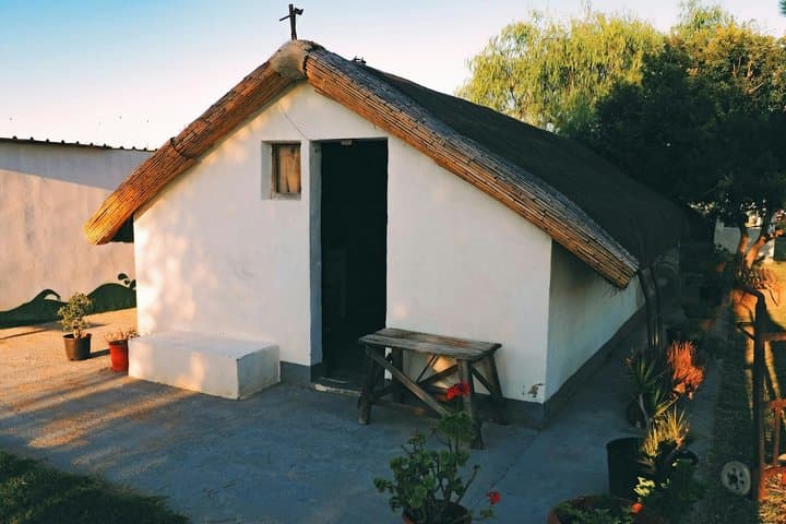 Bike & Boat Tour in Albufera, Valencia: Nature and Culture