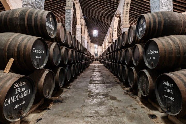 Exclusive Private Sherry Heritage and Cadiz Bay Experience