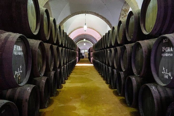 Exclusive Private Sherry Heritage and Cadiz Bay Experience