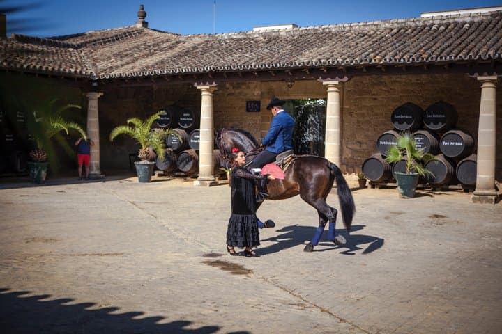 Exclusive Private Sherry Heritage and Cadiz Bay Experience