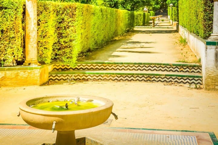 Alcázar tour and roof tour (no tickets)