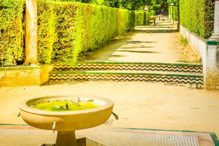 Seville Highlights: Private Family Guided Tour