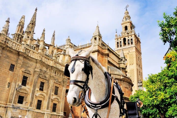 Seville Highlights: Private Family Guided Tour