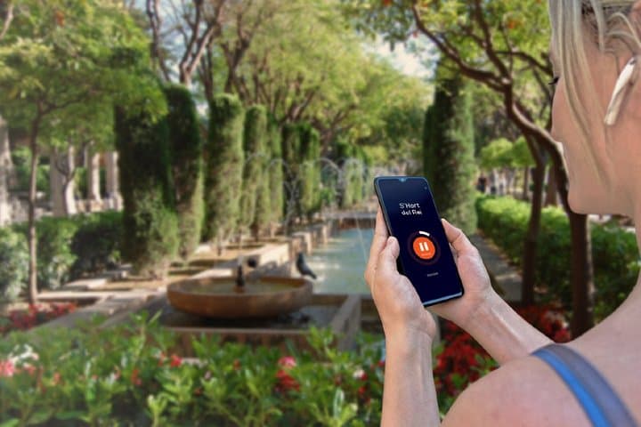 Palma de Mallorca Audioguided Walking Tour 2h and 25 reviews
