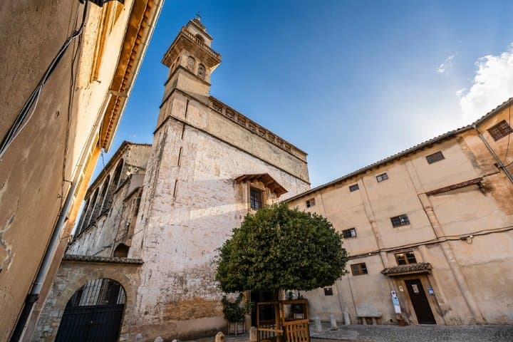 Palma de Mallorca Audioguided Walking Tour 2h and 25 reviews