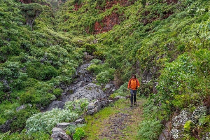 Garafia Hiking Route in La Palma