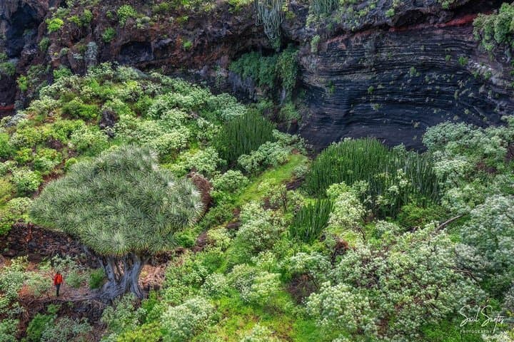 Garafia Hiking Route in La Palma