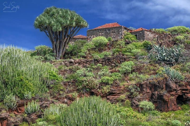 Garafia Hiking Route in La Palma