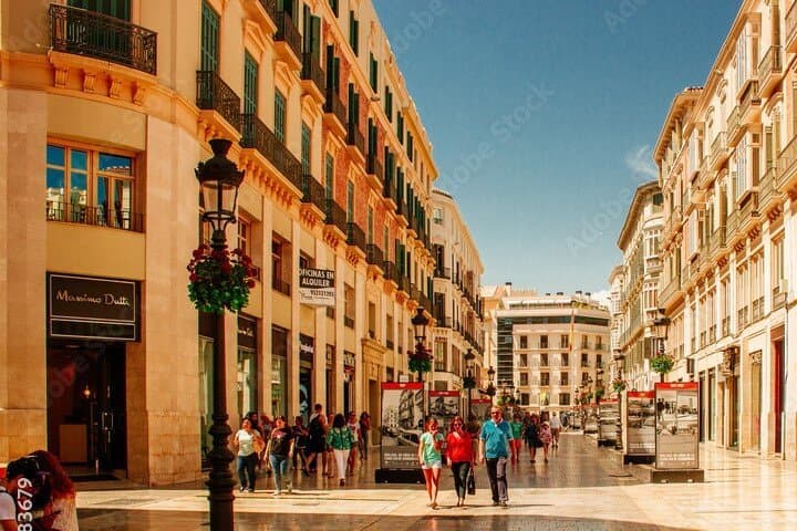 Malaga Tour in English Discover the City with Local Guide