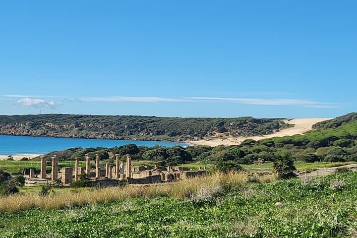 Tarifa (Cadiz): Guided tour Roman ruins facing the sea