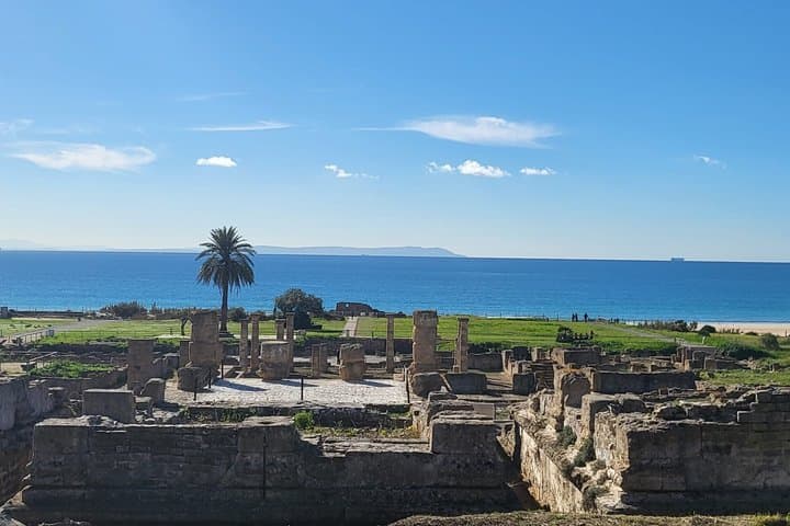 Tarifa (Cadiz): Guided tour Roman ruins facing the sea
