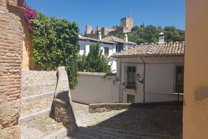 Private Tour Albaicín and Centro and Chapel Royal