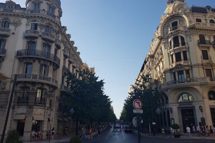 Private Tour Albaicín and Centro and Chapel Royal