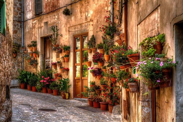 Valldemossa Village and Mountain Views Afternoon Tour